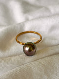 Gold Filled Ring with Tahitian Black Pearl
